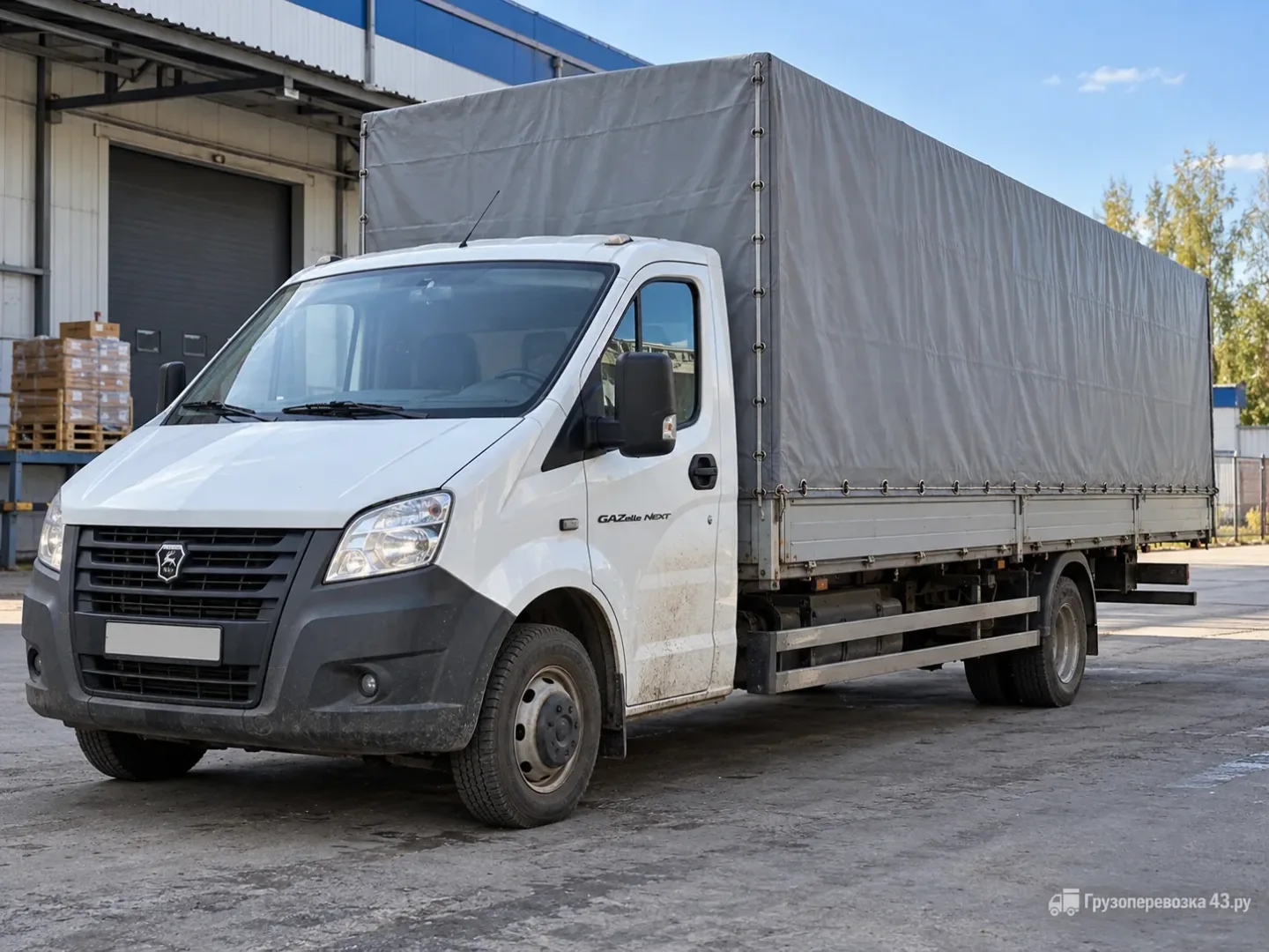 Фото перевозчика Дмитрий: Газель Next, тент 5,2 м · 2 т, Киров